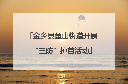 金乡县鱼山街道开展“三防”护苗活动