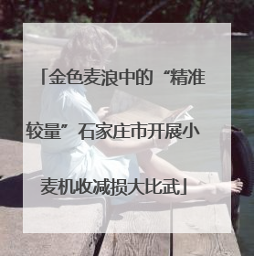 金色麦浪中的“精准较量”石家庄市开展小麦机收减损大比武