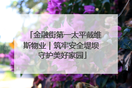 金融街第一太平戴维斯物业｜筑牢安全堤坝 守护美好家园