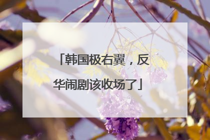 韩国极右翼，反华闹剧该收场了