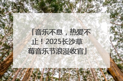 音乐不息，热爱不止！2025长沙草莓音乐节浪漫收官