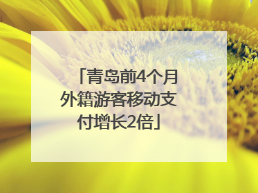 青岛前4个月外籍游客移动支付增长2倍