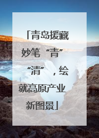 青岛援藏妙笔“青”“清”，绘就高原产业新图景
