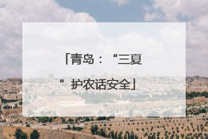 青岛：“三夏”护农话安全