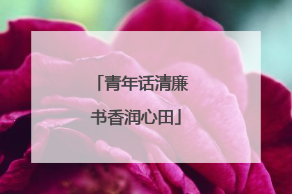 青年话清廉 书香润心田