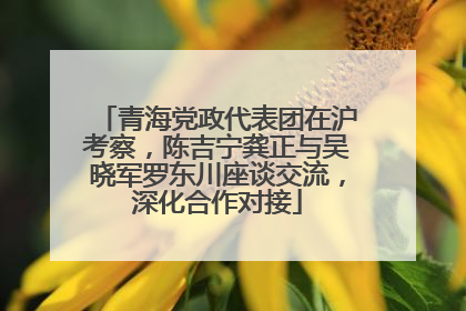 青海党政代表团在沪考察，陈吉宁龚正与吴晓军罗东川座谈交流，深化合作对接
