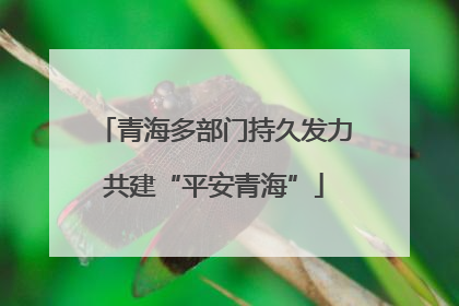 青海多部门持久发力共建“平安青海”