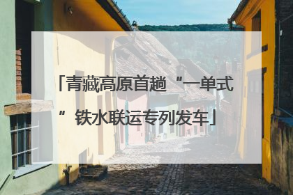 青藏高原首趟“一单式”铁水联运专列发车