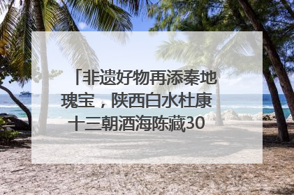 非遗好物再添秦地瑰宝，陕西白水杜康十三朝酒海陈藏30年别具一格