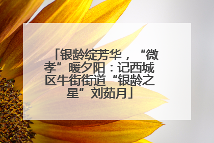 银龄绽芳华，“微孝”暖夕阳：记西城区牛街街道“银龄之星”刘茹月