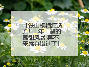 铁山杨梅红透了！一年一遇的酸甜风暴 再不来就真错过了