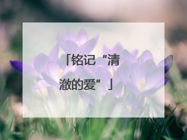 铭记“清澈的爱”