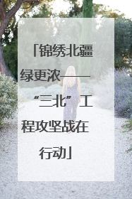 锦绣北疆绿更浓——“三北”工程攻坚战在行动