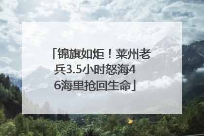 锦旗如炬！莱州老兵3.5小时怒海46海里抢回生命