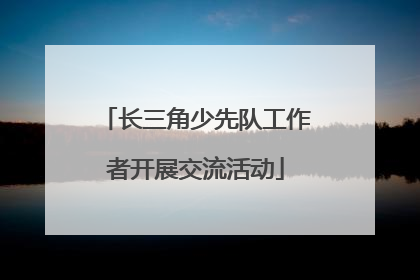长三角少先队工作者开展交流活动