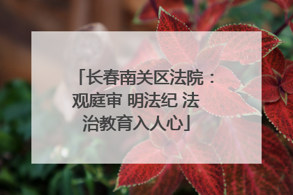 长春南关区法院：观庭审 明法纪 法治教育入人心