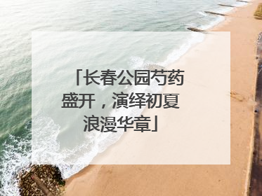 长春公园芍药盛开，演绎初夏浪漫华章