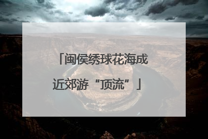 闽侯绣球花海成近郊游“顶流”