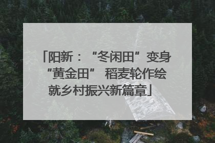 阳新：“冬闲田”变身“黄金田” 稻麦轮作绘就乡村振兴新篇章