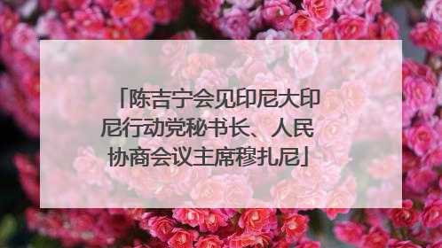 陈吉宁会见印尼大印尼行动党秘书长、人民协商会议主席穆扎尼