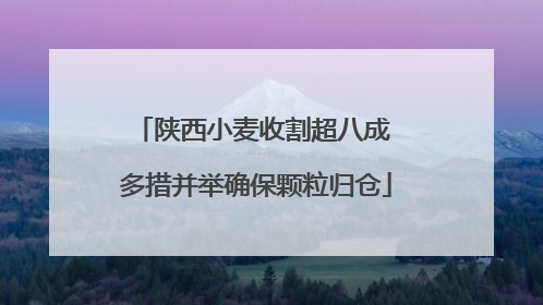 陕西小麦收割超八成 多措并举确保颗粒归仓