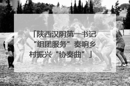 陕西汉阴第一书记“组团服务”奏响乡村振兴“协奏曲”