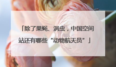 除了果蝇、涡虫，中国空间站还有哪些“动物航天员”