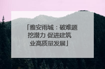 雅安雨城：破难题 挖潜力 促进建筑业高质量发展