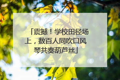 震撼！学校田径场上，数百人同吹口风琴共奏葫芦丝