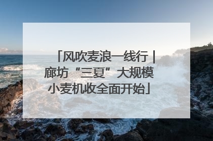 风吹麦浪一线行｜廊坊“三夏”大规模小麦机收全面开始