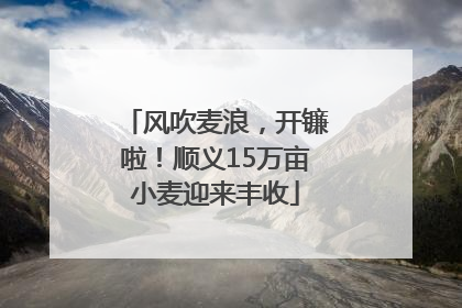 风吹麦浪，开镰啦！顺义15万亩小麦迎来丰收