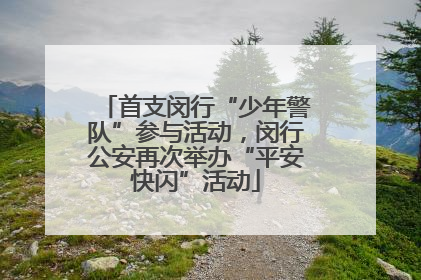 首支闵行“少年警队”参与活动，闵行公安再次举办“平安快闪”活动