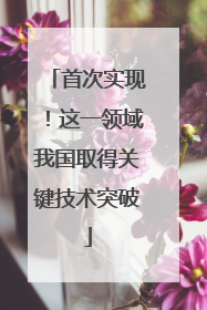 首次实现！这一领域我国取得关键技术突破