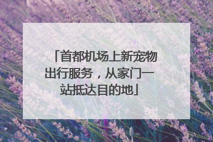 首都机场上新宠物出行服务，从家门一站抵达目的地
