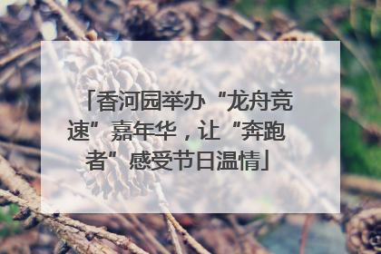 香河园举办“龙舟竞速”嘉年华，让“奔跑者”感受节日温情