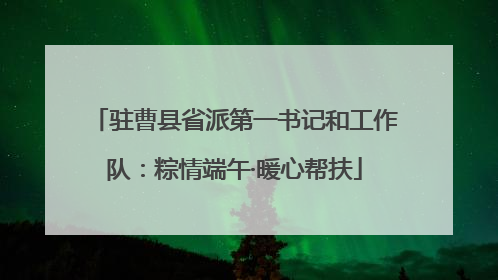 驻曹县省派第一书记和工作队：粽情端午·暖心帮扶