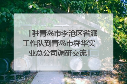 驻青岛市李沧区省派工作队到青岛市舜华实业总公司调研交流