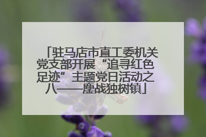 驻马店市直工委机关党支部开展“追寻红色足迹”主题党日活动之八——鏖战独树镇