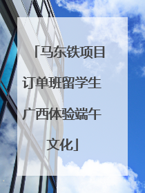 马东铁项目订单班留学生广西体验端午文化