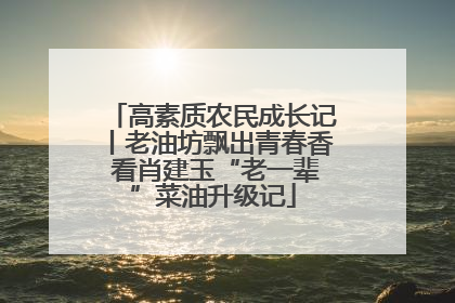 高素质农民成长记丨老油坊飘出青春香 看肖建玉“老一辈”菜油升级记