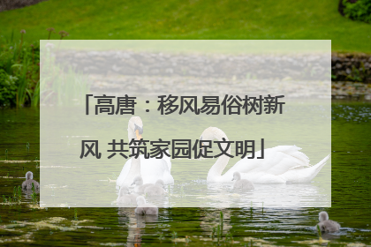 高唐：移风易俗树新风 共筑家园促文明