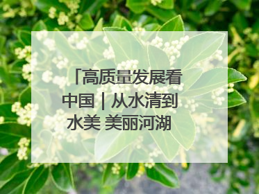 高质量发展看中国｜从水清到水美 美丽河湖扮靓美丽乡村