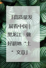 高质量发展看中国｜黑龙江：做好耕地“土”文章