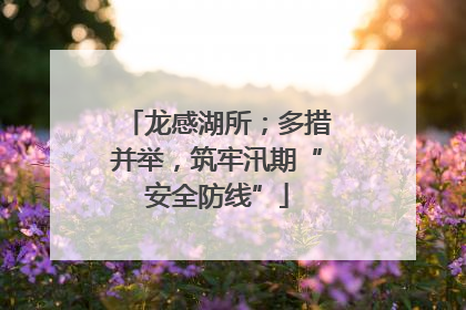 龙感湖所；多措并举，筑牢汛期“安全防线”