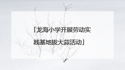 龙海小学开展劳动实践基地拔大蒜活动
