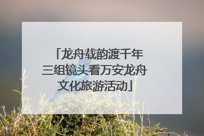 龙舟载韵渡千年 三组镜头看万安龙舟文化旅游活动
