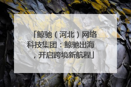 鲸驰（河北）网络科技集团：鲸驰出海，开启跨境新航程