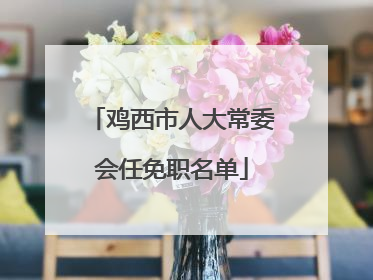 鸡西市人大常委会任免职名单