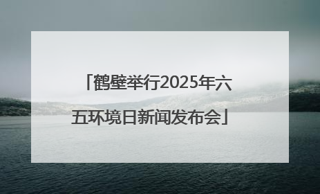 鹤壁举行2025年六五环境日新闻发布会