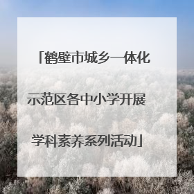 鹤壁市城乡一体化示范区各中小学开展学科素养系列活动